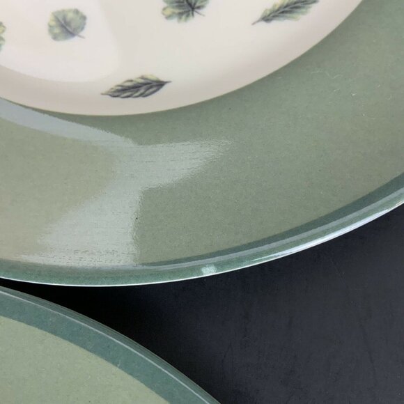 Pfaltzgraff Melamine Garden Watering Can Salad Plates Set of 4 Durable - Picture 6 of 6
